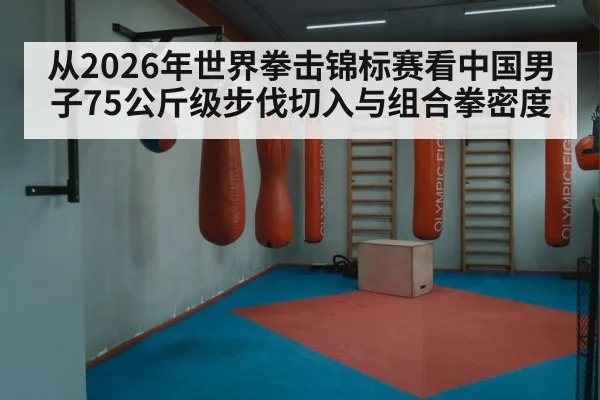 从2026年世界拳击锦标赛看中国男子75公斤级步伐切入与组合拳密度